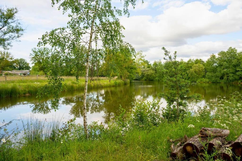 L'Evasion En Pierre Piscine Et Etang Prive Villa Sevremoine Eksteriør bilde